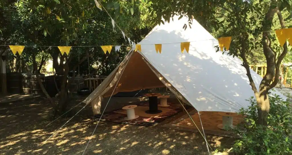 camp nature festival camp nature festival