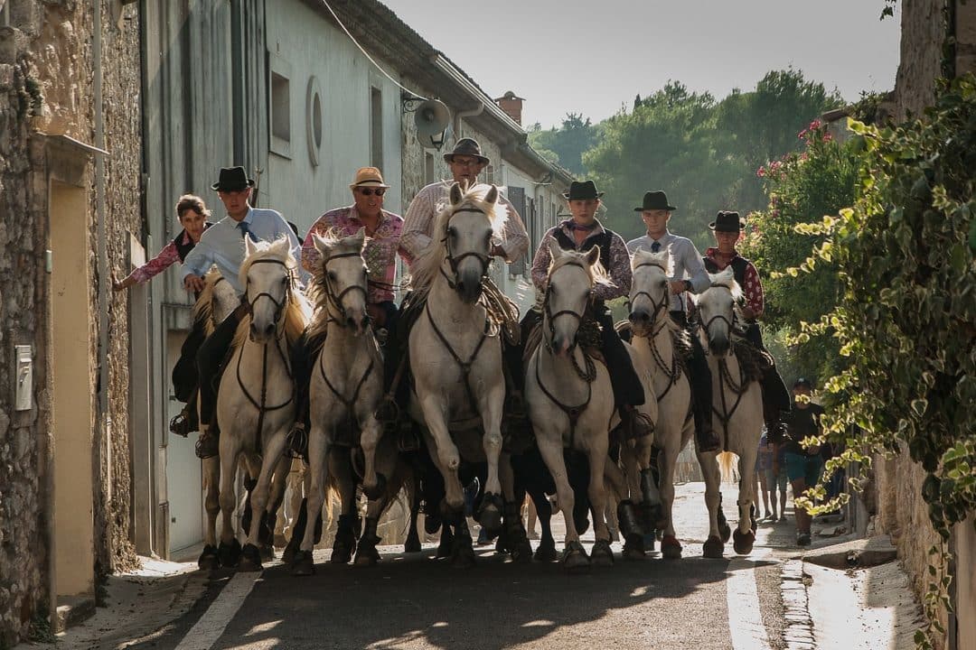 activites séminaire en camargue : abrivado