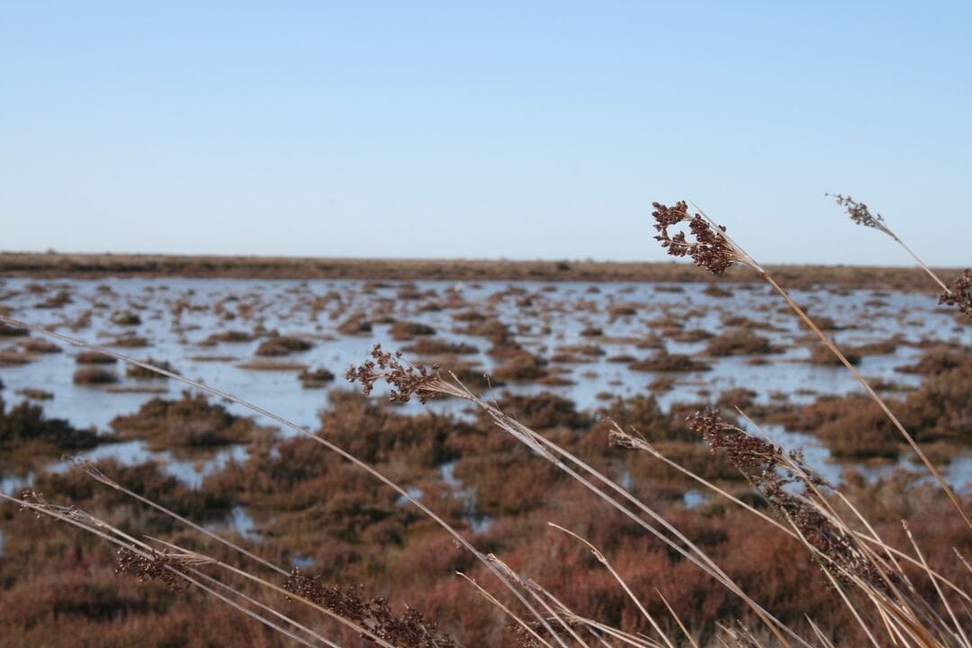 seminaire en camargue environnement