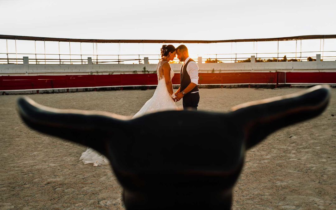 Mariage en plein air dans une manade camarguaise : une célébration entre tradition et nature