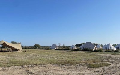 Top 5 des Lieux d’hébergement pour votre séminaire en Camargue