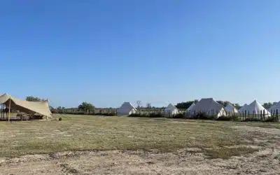 Top 5 des Lieux d’hébergement pour votre séminaire en Camargue